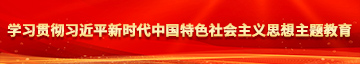 大鸡巴干大骚逼的视频学习贯彻习近平新时代中国特色社会主义思想主题教育